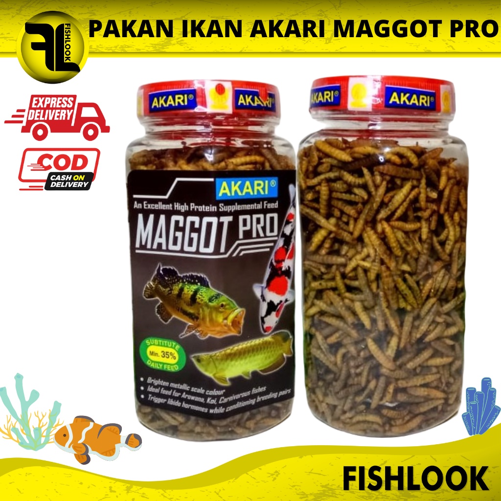 AKARI MAGGOT MAGOT PRO MAKANAN IKAN LOUHAN AROWANA OSCAR ULAT KERING