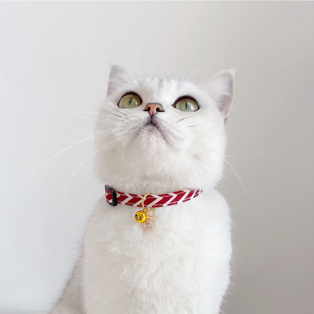 Kalung Kucing Kalung Anjing  Kalung Kelinci Kalung Adjustable Lonceng Cat Collar Dog Collar