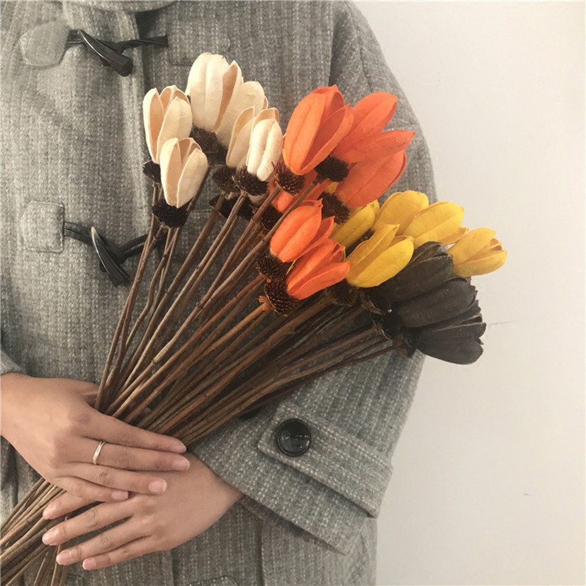 Bunga Tulip Kering Natural Untuk Dekorasi Ruang Tamu Kamar Tidur
