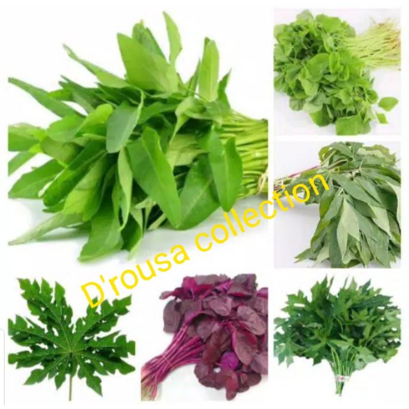 

SAYURAN SEGAR SERBA 5.000/ikat