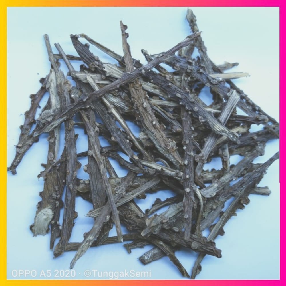 

[100g] Promo Murah Kering Brotowali Atau Putrowali Kering Premium