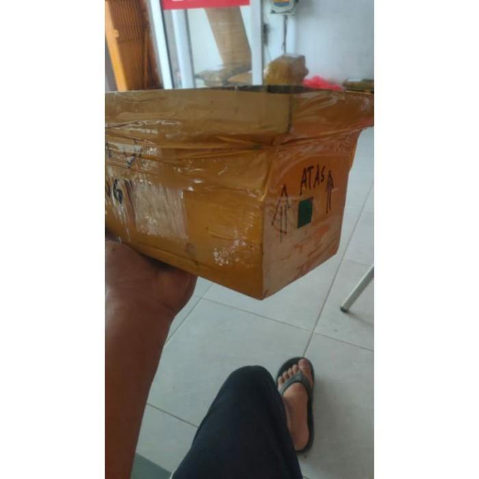 kelulut teuweul trigona terminata stup dalam koloni klanceng di