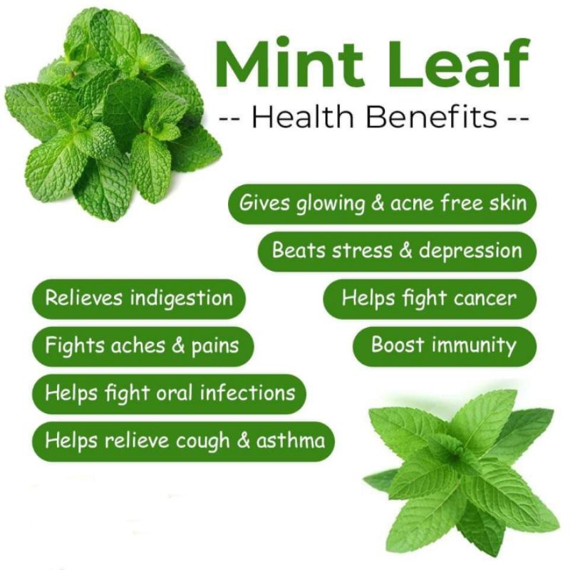 Earl Grey Mint Tea : Earl Grey With Peppermint Leaf Tea - 30 Tea Bag