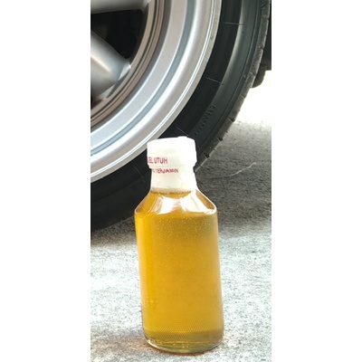

madu lebah