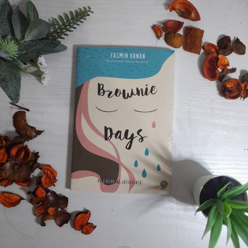 

Novel Brownie Days