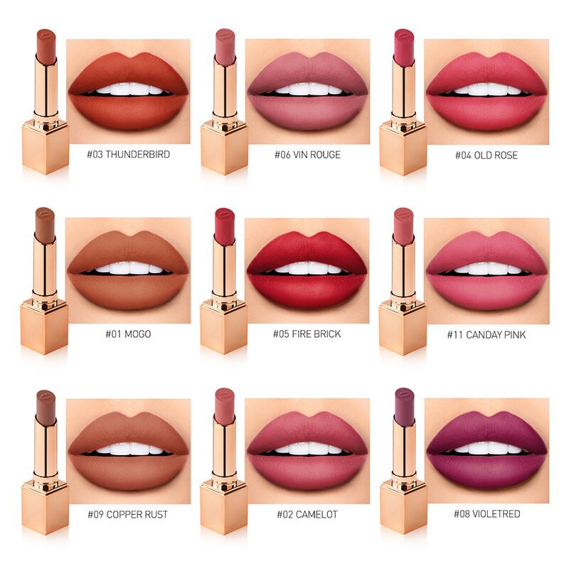 (READY &amp; ORI!) STAGENIUS Lipstick 12 Warna Matte Permanen Tahan Lama SG01