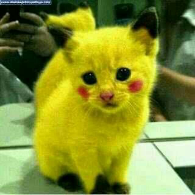 septian_ardyansyah