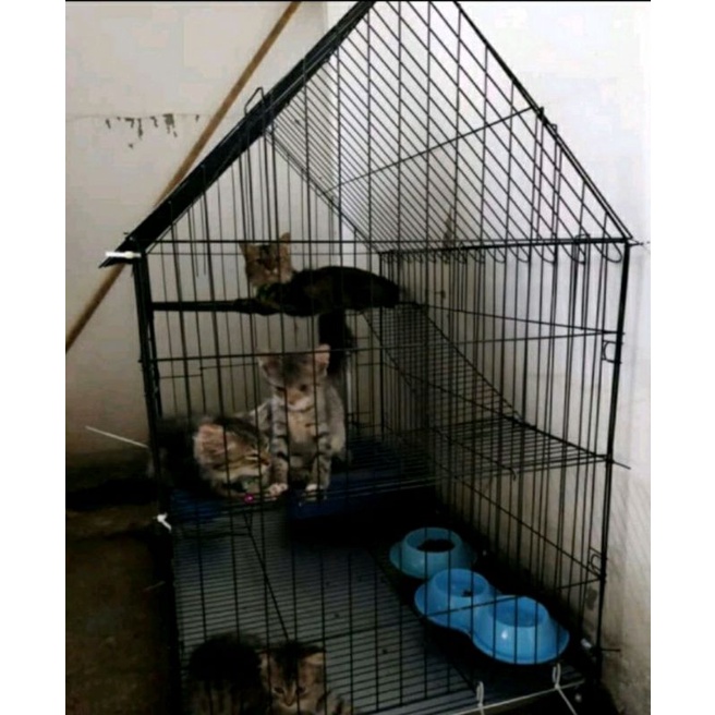 Kandang Kucing Tingkat 2 Jumbo Atap Rumah