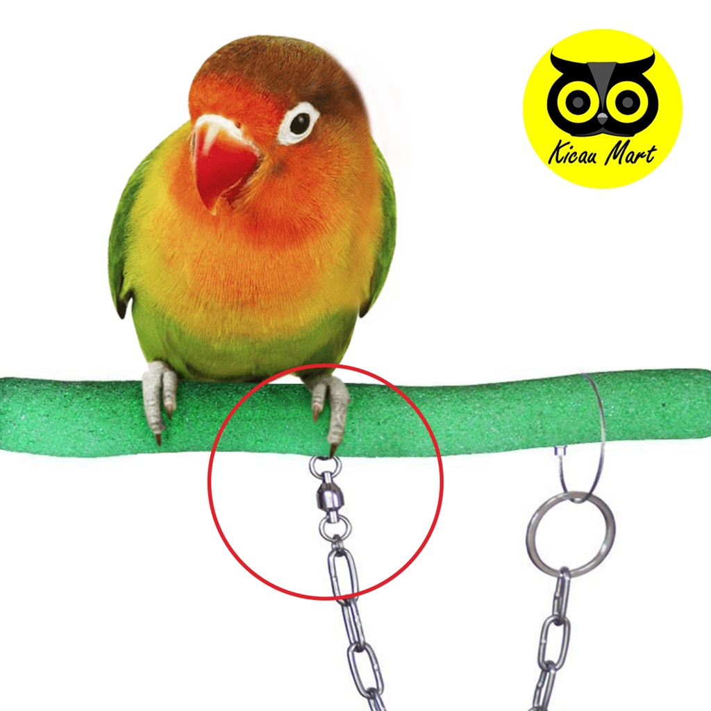 RANTAI KAKI BURUNG LOVEBIRD RING BORGOL IMPORT 5 MM RANTAI FF UMBARAN FREE FLYING LOVEBIRD LB LOVE BIRD ANIS CUCAK JALAK SUREN DLL