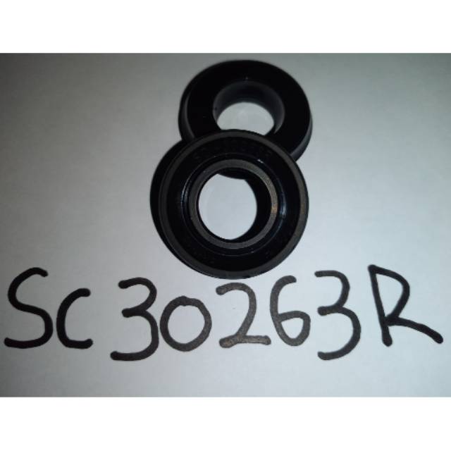 Seal Rem sc30263R