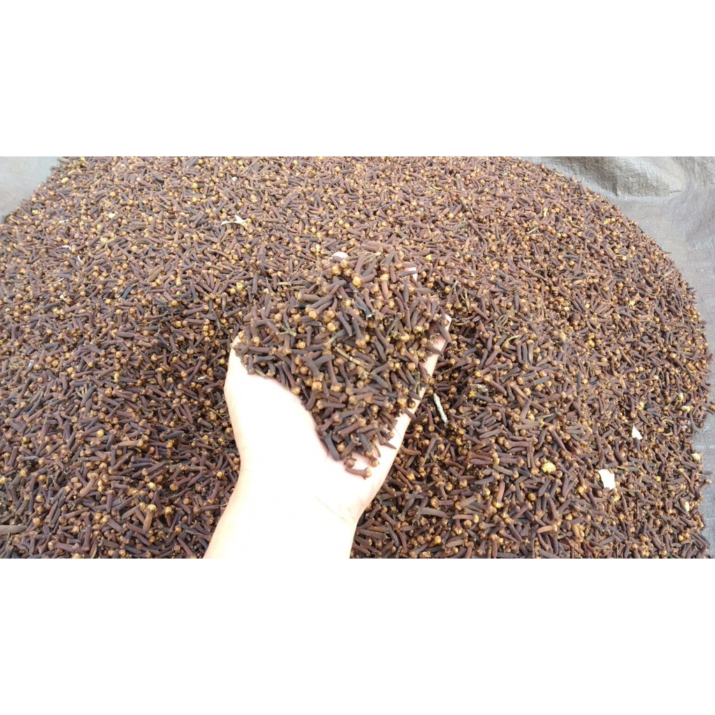 

Cengkeh Murni Berkualitas (Biji cengkeh Utuh) 1kg