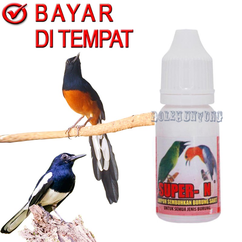 SUPER N OBAT BURUNG SAKIT LEMAS KURUS MURAI KACER IJO LOVE BIRD PLECI ANIS