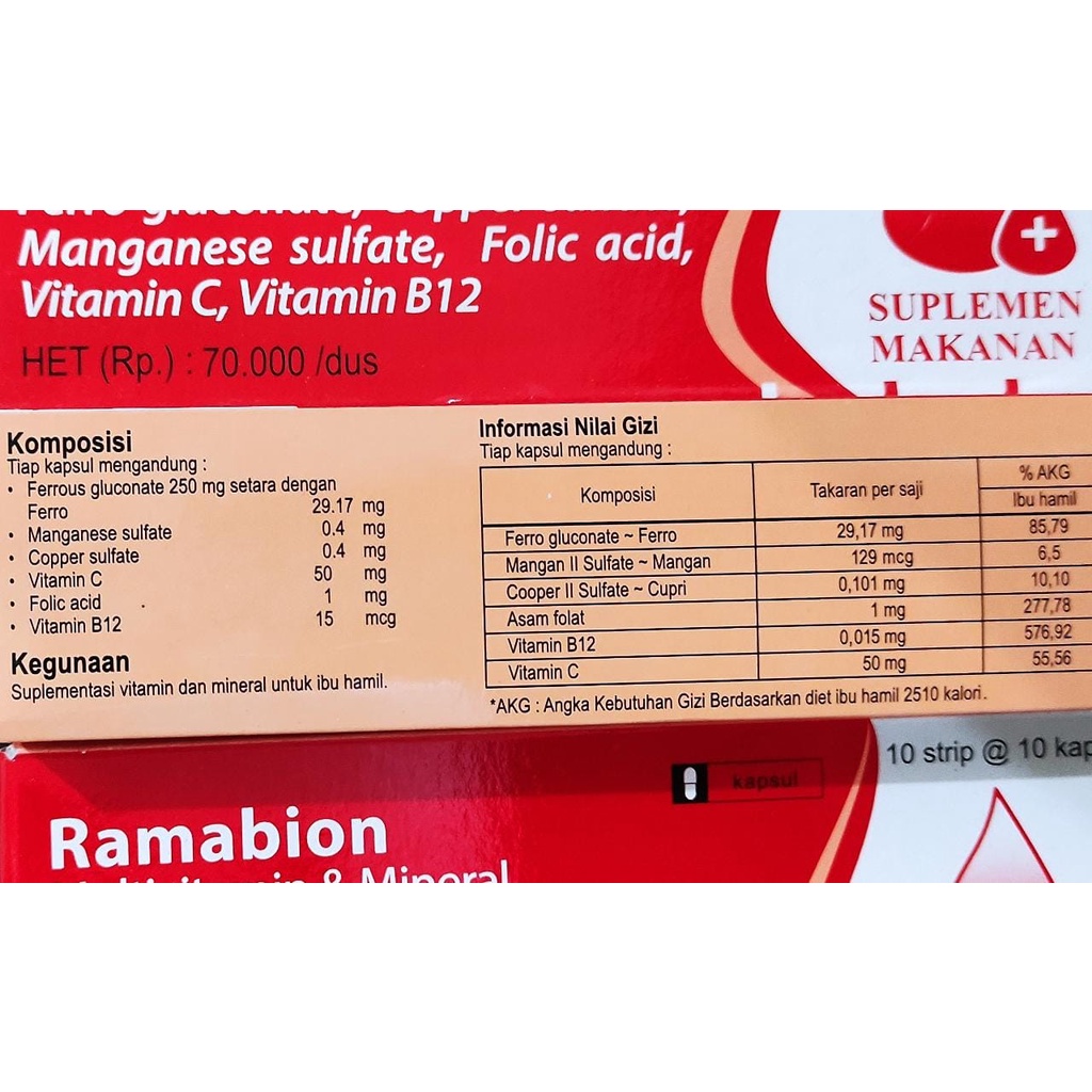 Ramabion 100 Kapsul / Obat Penambah Darah / Mengandung Vitamin C 50 MG / Asam Folat