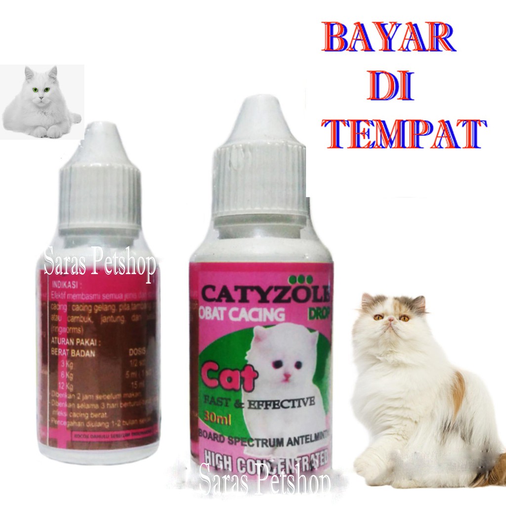 obat cacing kucing sakit perut mual muntah cacingan catyzole