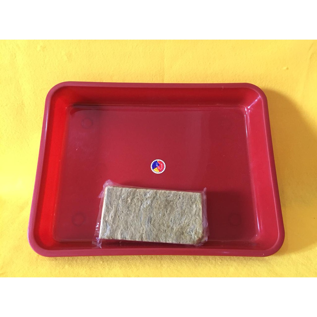 Super Hemat Nampan Hidroponik + Rockwool