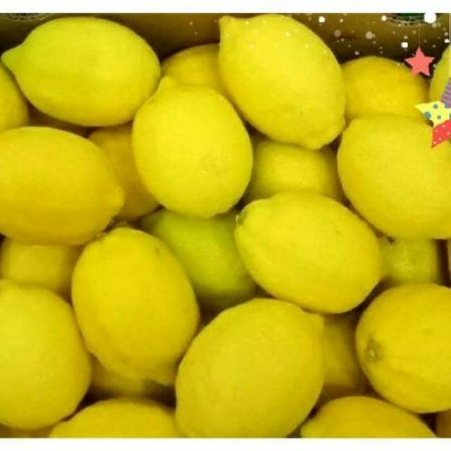 

Buah lemon segar per 1kg