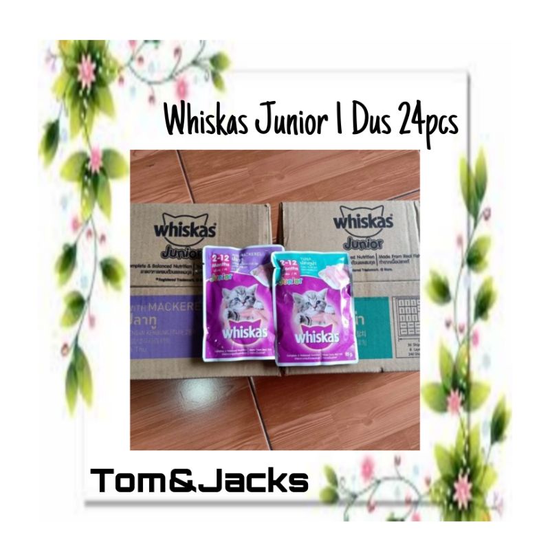 WHISKAS JUNIOR 1 DUS Box 24 Pcs Kitten Makanan Basah Tuna Mackerel Gojek Grab