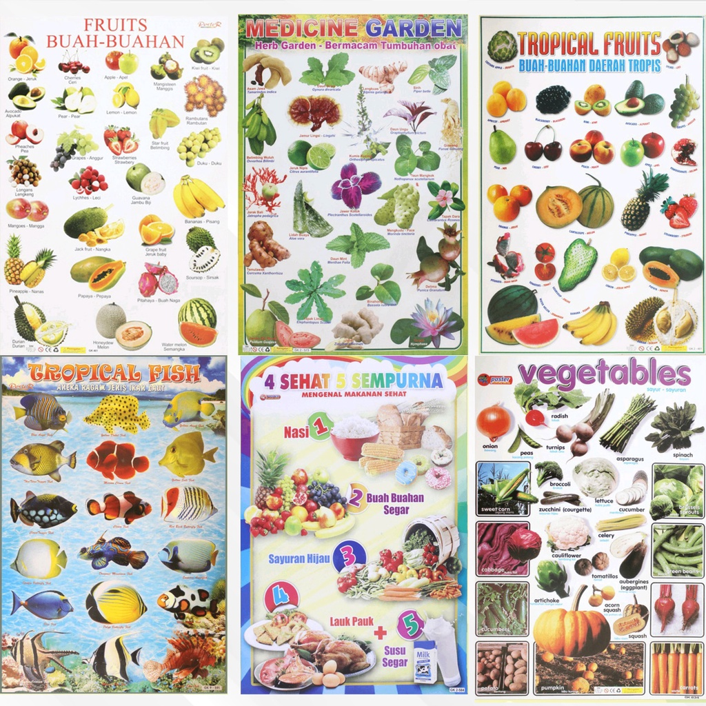 

Poster edukasi anak lembaran fruits garden tropical fish 4 sehat 5 sempurna dan lain-lain