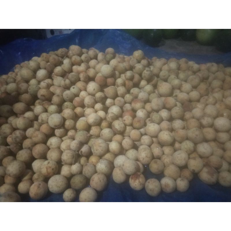 

duku palembang
