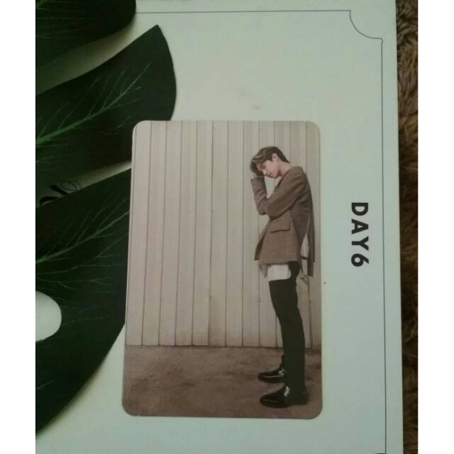 Day6 Photocard /PC Jae &  Unit (Sungjin,  youngk) Entropy