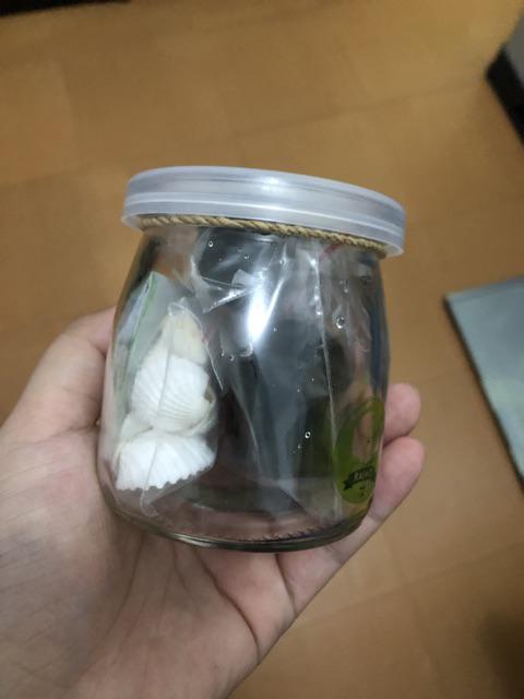 Marimo Moss Ball In Jar Tinggi 240 Ml 1< Alga Jepang