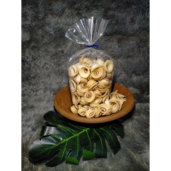 

kuping GAJAH |kriukrecehIndonesia|