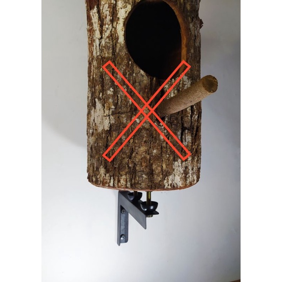 Glodok Stand Burung murai batu, lovebird, falk, dll Anti Semut