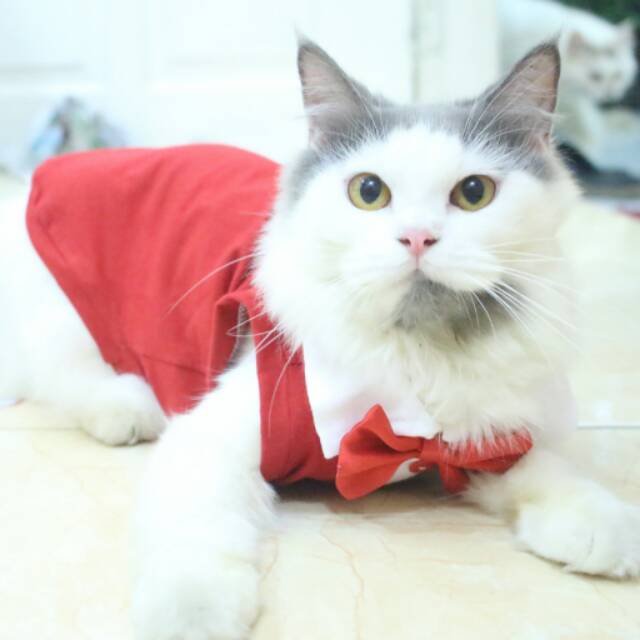 Kaos tuxedo merah putih untuk kucing dan anjing / baju kucing size S M L XL