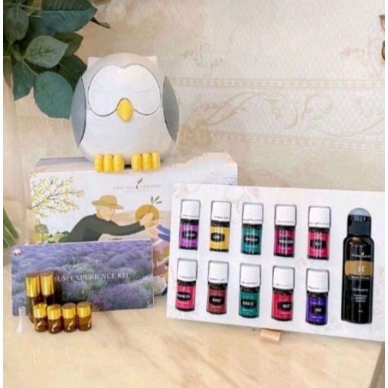 paket lengkap diffuser young living