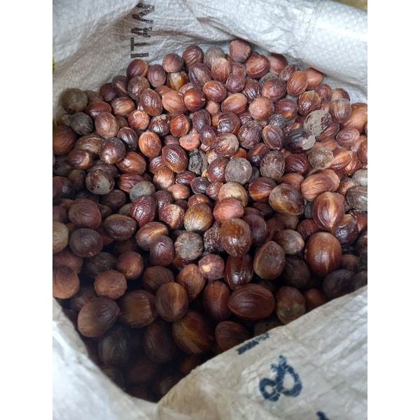

biji pala aceh