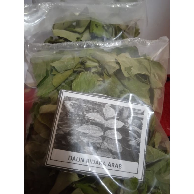 

Daun Bidara Arab