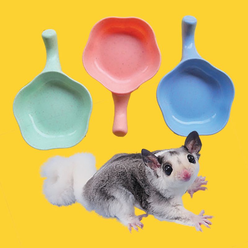 MANGKOK BUNGA - Tempat Makan Sugar Glider Tempat Minum Sugar Glider Water Dish Sugar Glider Mangkok Makan Imut Lucu Bentuk Bunga