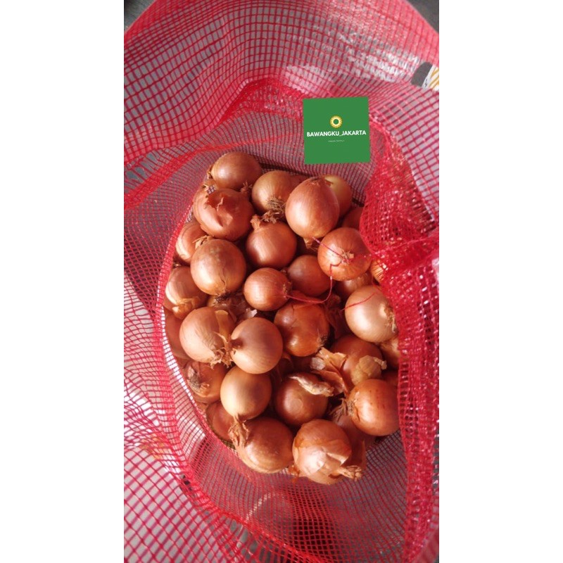 

bawang bombay import