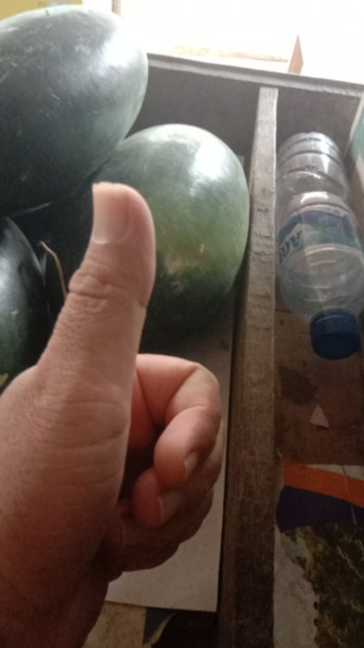 Gulungan Kawat Tembaga Warna Emas Silver Rose Gold Dan Merah Ukuran 0.2-1.0mm 600-30m Untuk Membuat Perhiasan Diy