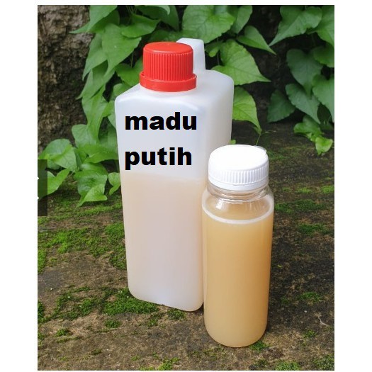 MADU MULTIFLORA BISA BAYAR DITEMPAT