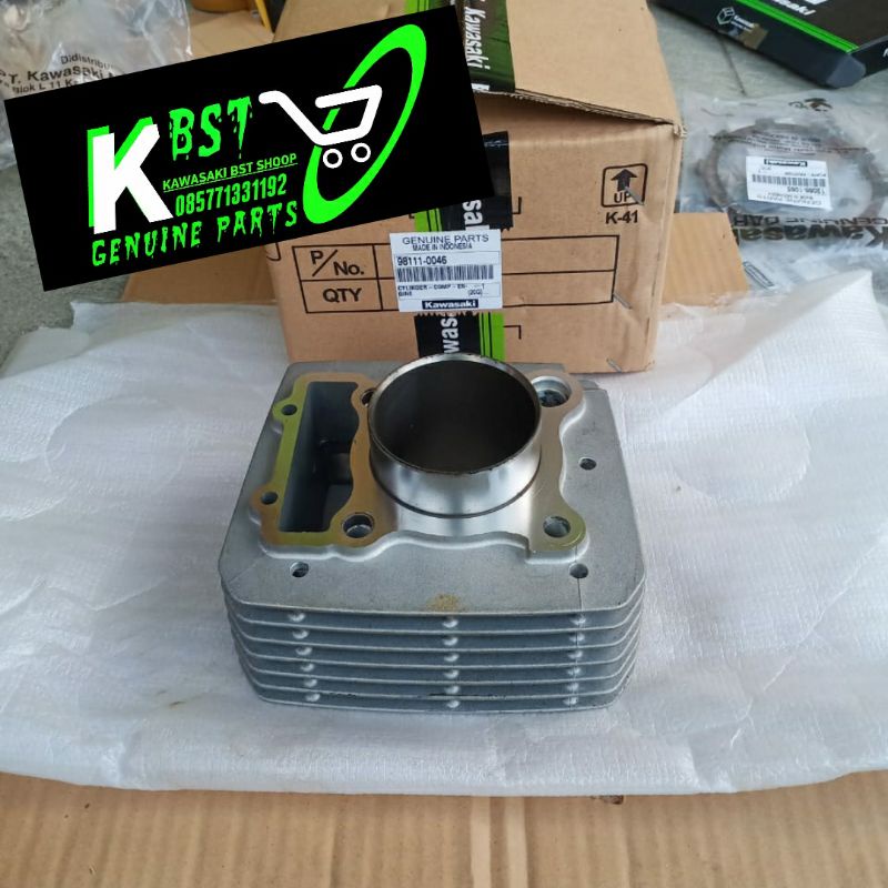 CYLINDER BLOK KLX 230 ORIGINAL KAWASAKI