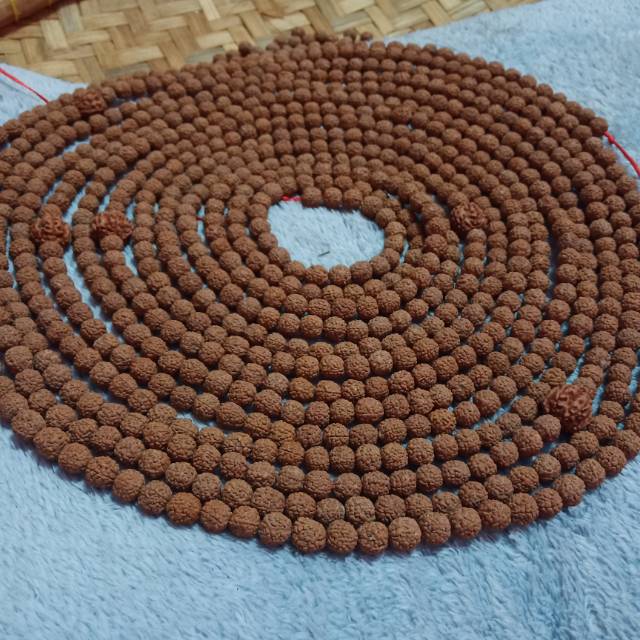 Tasbih jenitri rudraksha 1000 butir