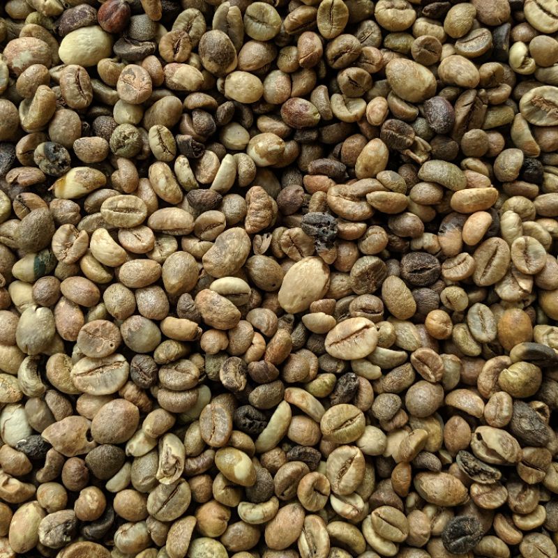 

Greenbean Robusta Lampung Asalan 1kg