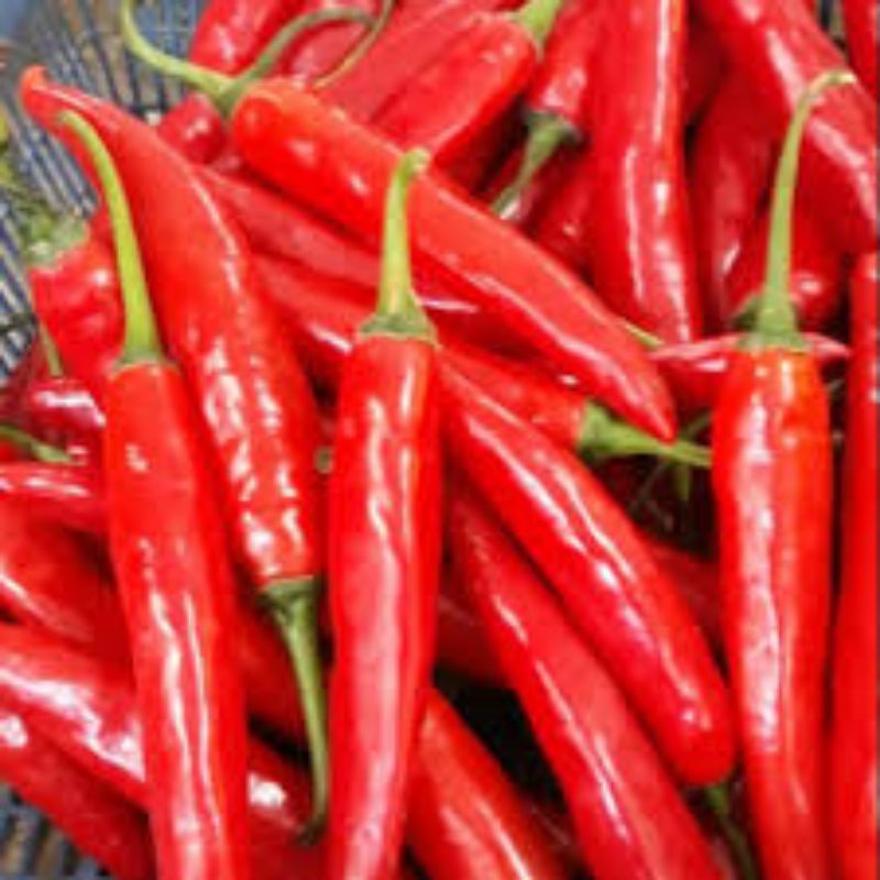 

CABAI MERAH GENDUT 100gr