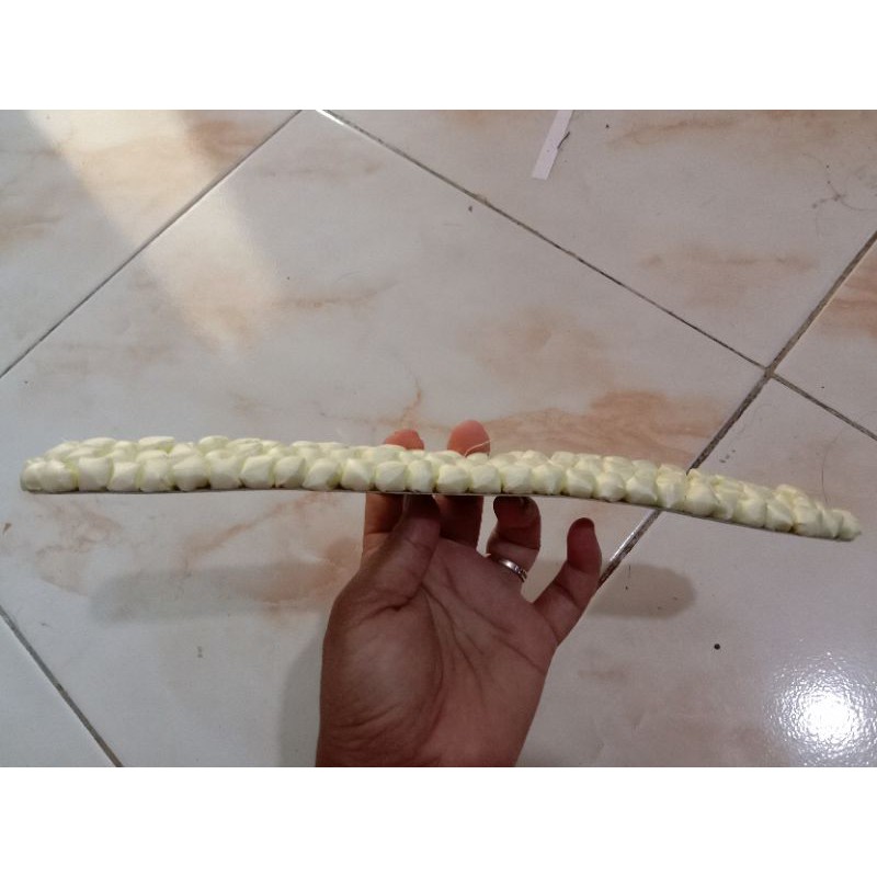 Melati Patam karang jagung