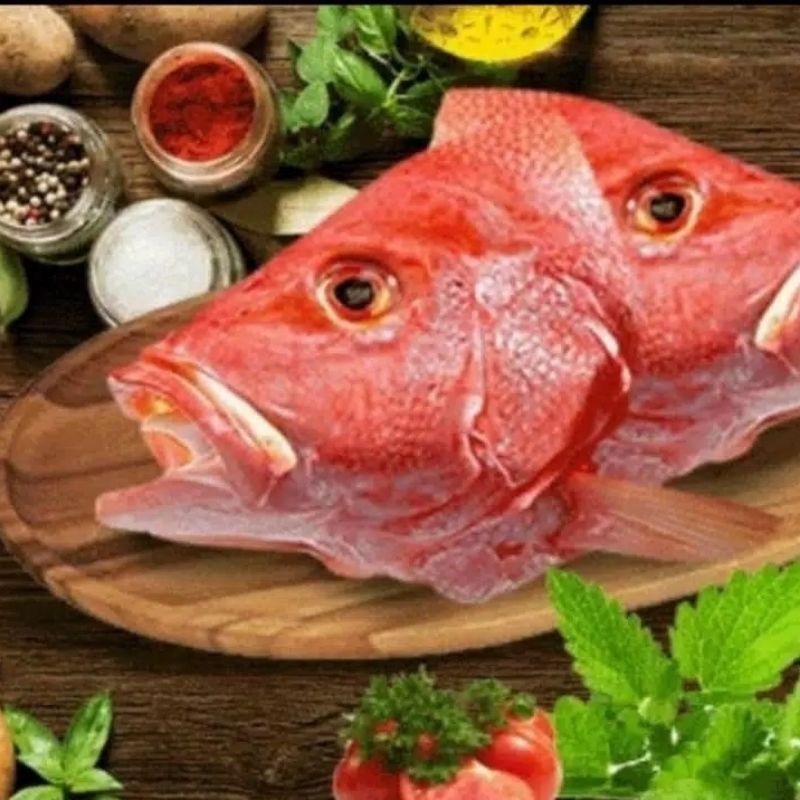 

Kepala Ikan Kakap / Kepala Ikan Kakap Merah ( Red Snapper Head Premium ) 1 kg