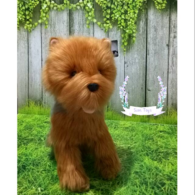 Boneka Anjing Yorkshire Terrier Shopee Indonesia
