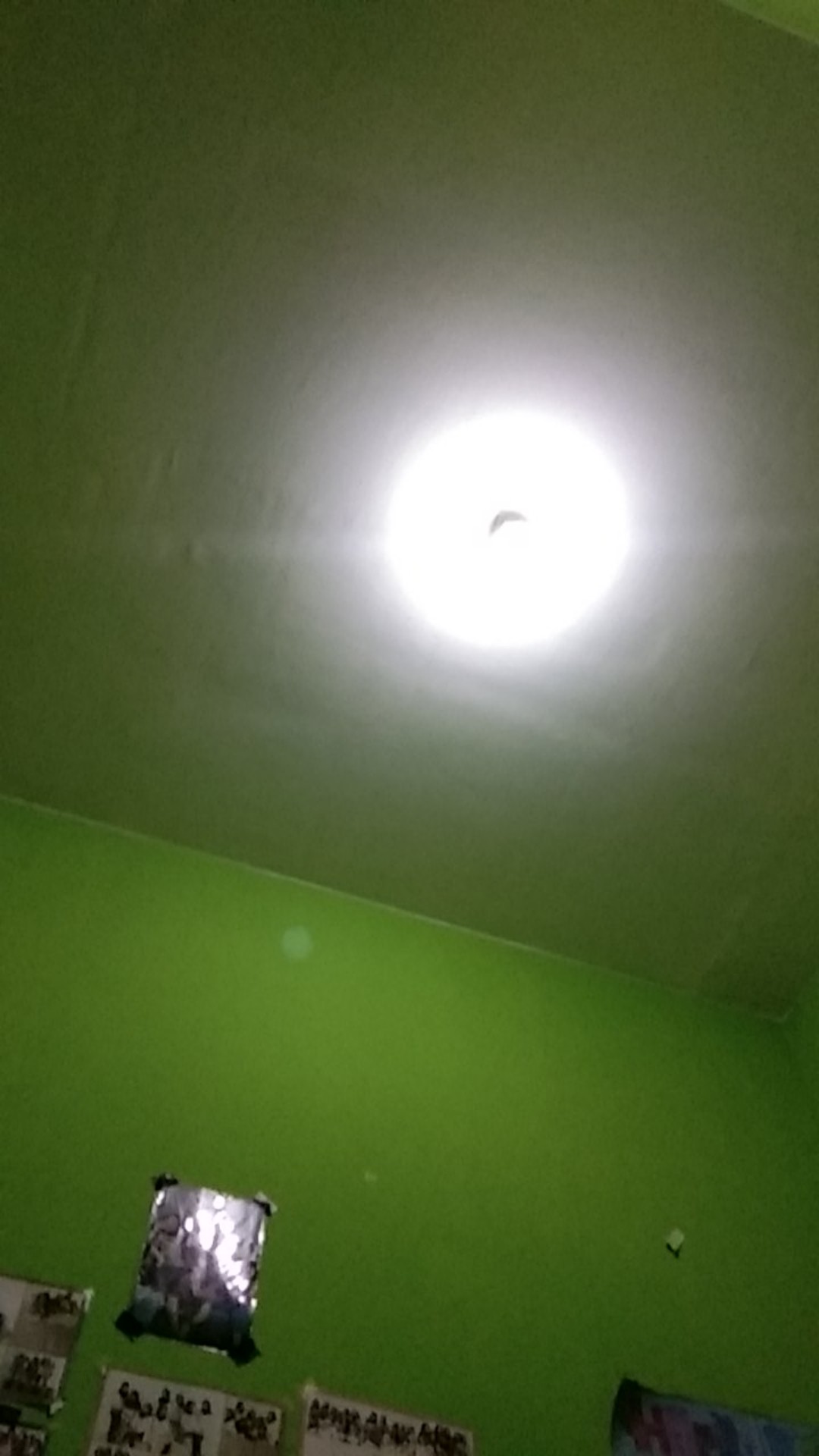 Saringan Pemisah Putih Dan Kuning Telur