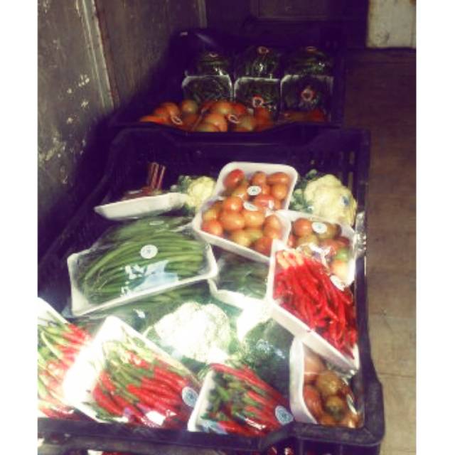 

Sayuran segar