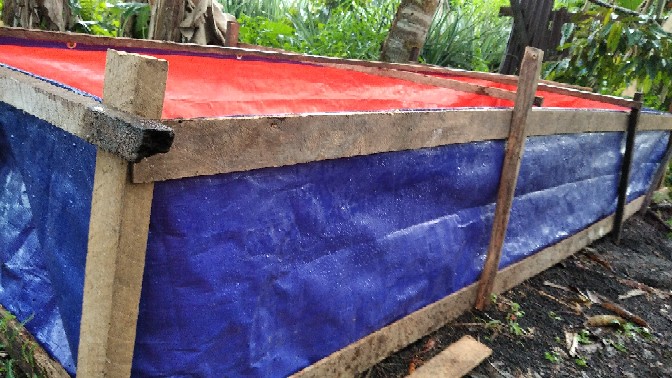 Terpal Kolam Ikan 300x100x50 Tyepe A5 Korea Super  Kualiti  Kolam Ikan Lele