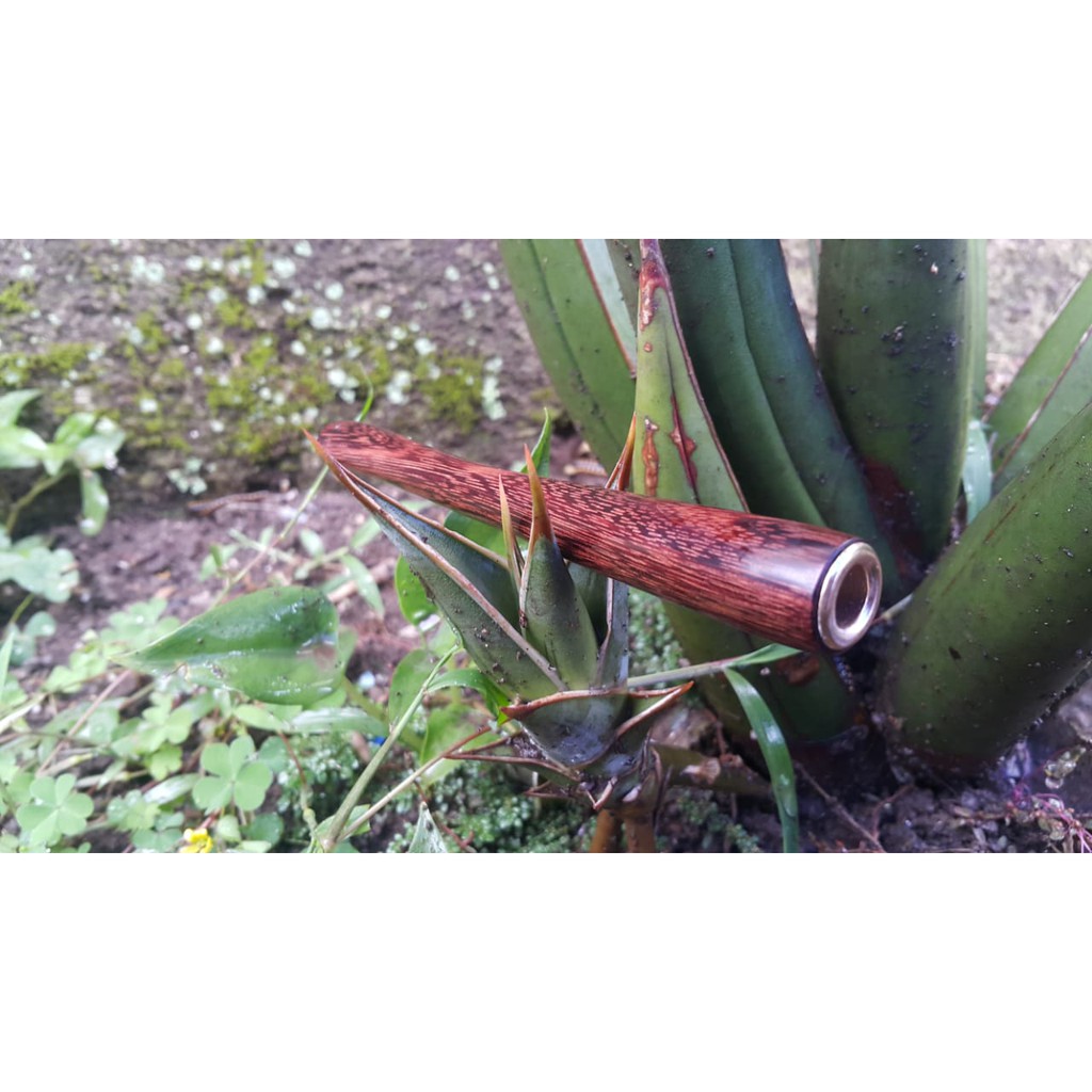 PIPA ONCE CANGKLONG KAYU GALIH ASEM PANJANG 12 / ONCE PIPA KAYU GALIH ASEM / Pipa rokok kayu asem