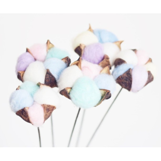 Cotton Flower Bunga Kapas Asli Single Stem Dekorasi Hiasan Bunga Artificial per tangkai-WARNA WARNI