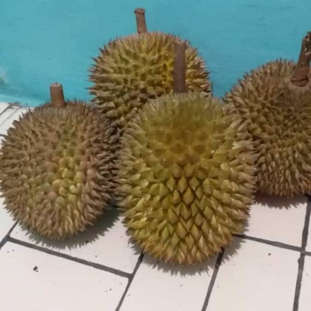 

Durian