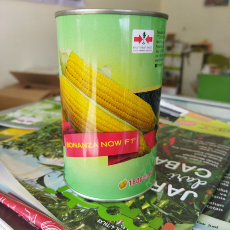 BENIH JAGUNG MANIS BONANZA 9 F1 1800 Butir