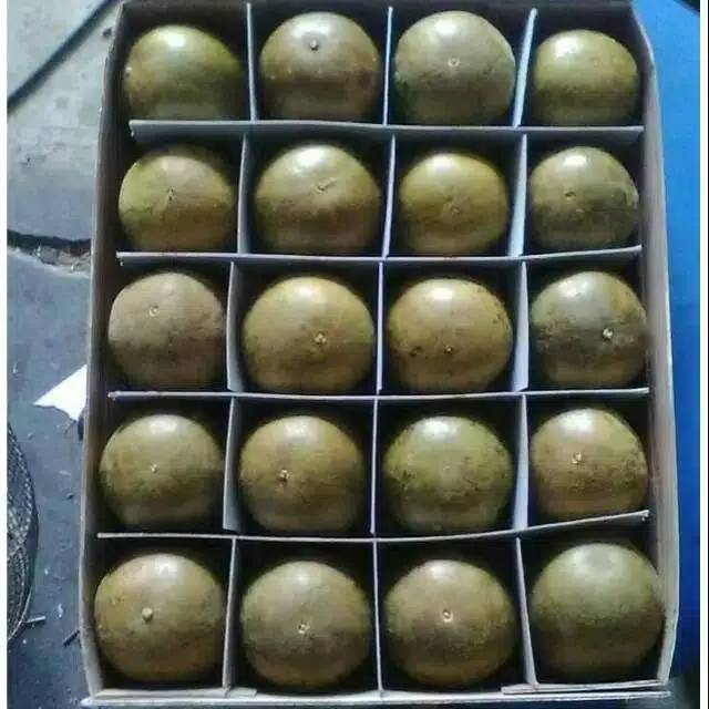 

BUAH LOHANKUO / LO HAN GUO PERPCS DIJAMIN ASLI 100%